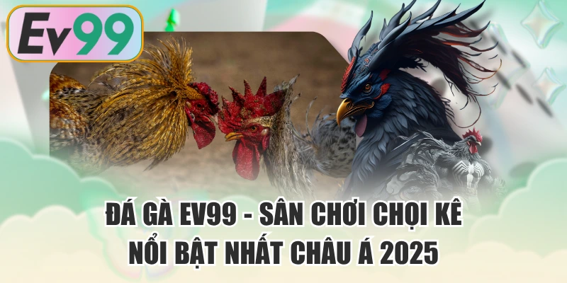 Đá Gà EV99 - Sân Chơi Chọi Kê Nổi Bật Nhất Châu Á 2025